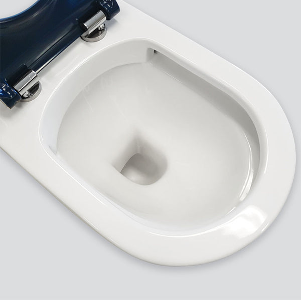 Stella Care Back-to-Wall Toilet Suite, Blue Seat
